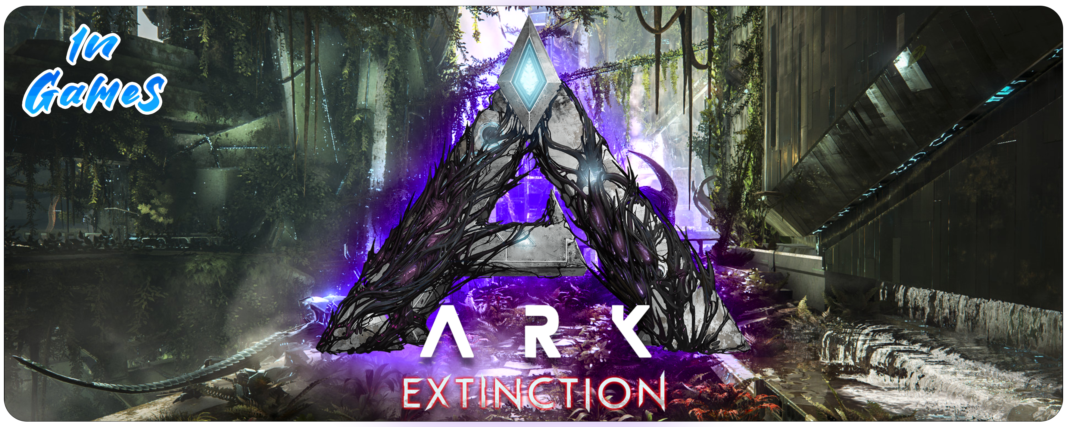 Image du serveur