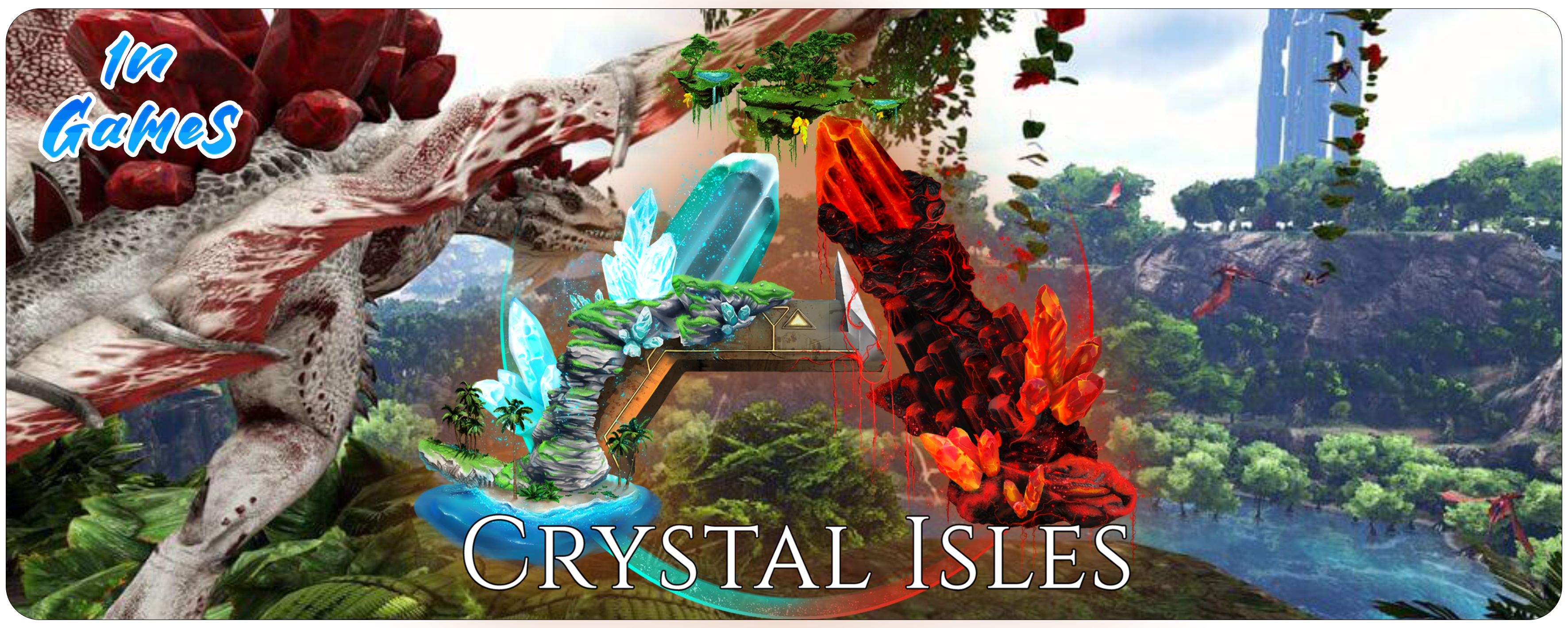 Image du serveur