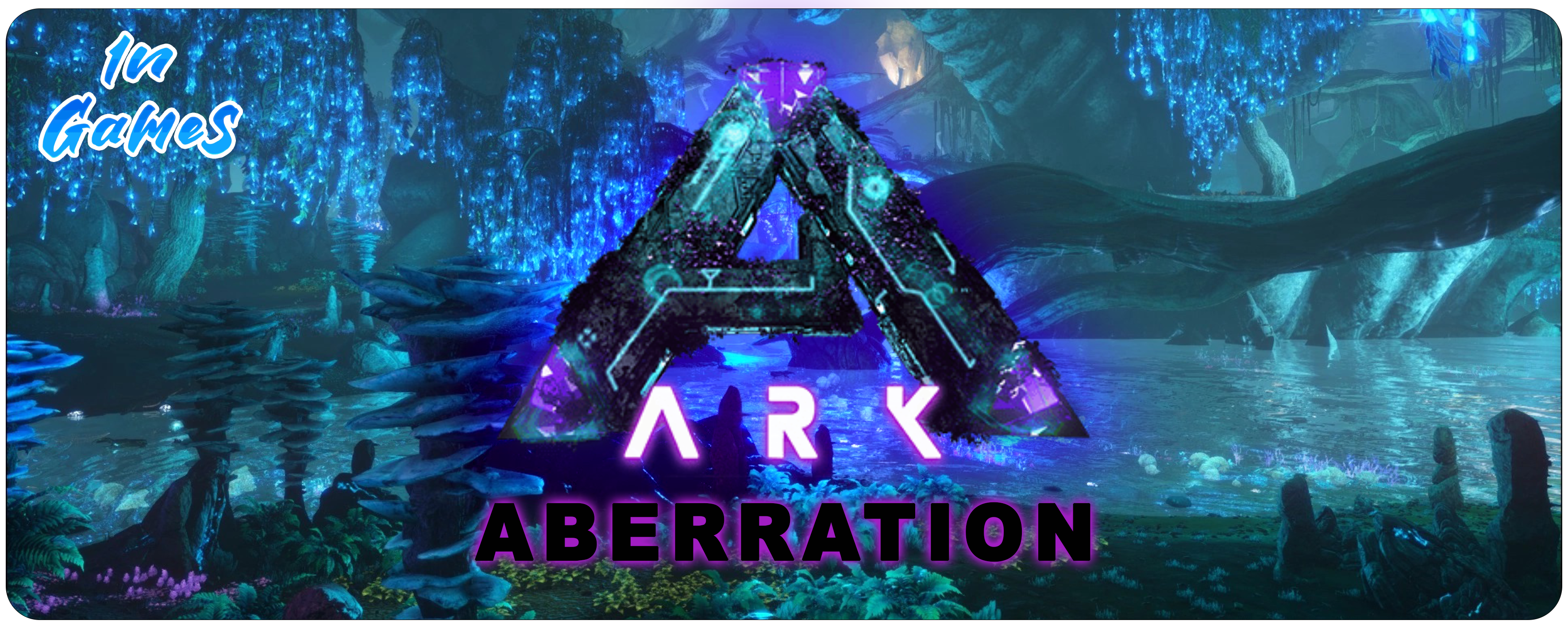 Image du serveur